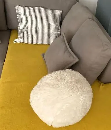 Sunlit Heaven In * Tirana